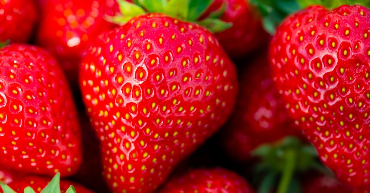 Süße Ernte garantiert: So düngen Sie Erdbeeren richtig und bringen sie zum Strahlen