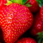Süße Ernte garantiert: So düngen Sie Erdbeeren richtig und bringen sie zum Strahlen