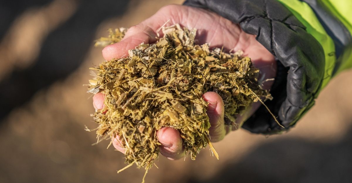 Kompost wie ein Profi umsetzen: So wird aus Küchenabfällen in Rekordzeit bester Humus