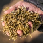 Kompost wie ein Profi umsetzen: So wird aus Küchenabfällen in Rekordzeit bester Humus