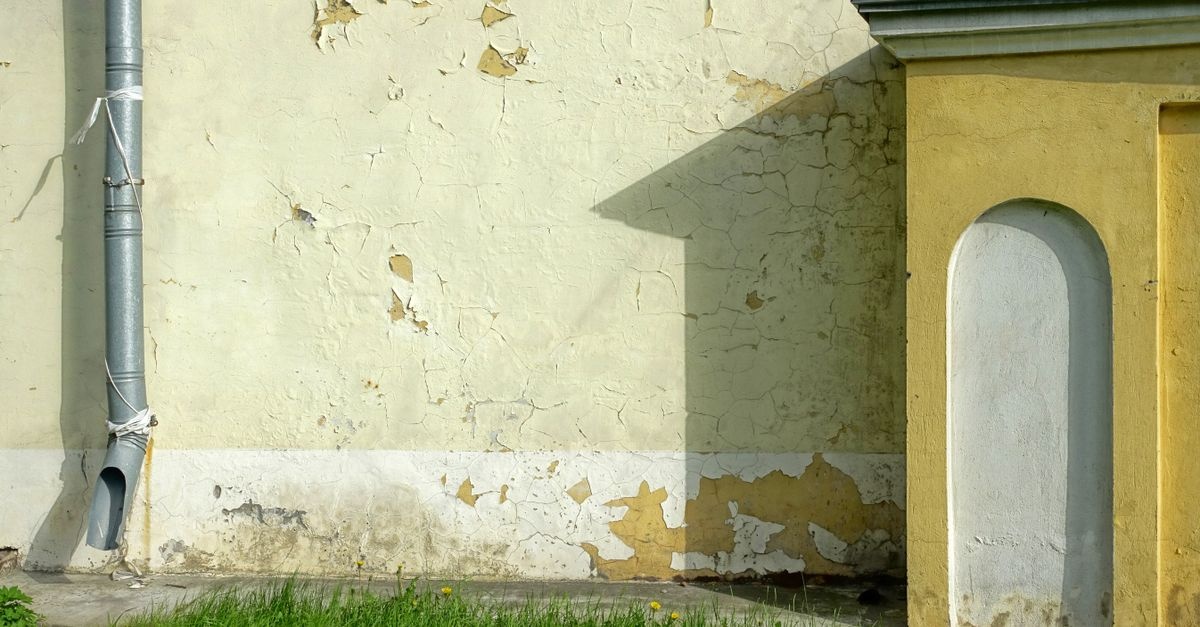 Schimmel an der Außenwand? So beugst du Feuchtigkeit & Stockflecken wirksam vor