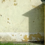 Schimmel an der Außenwand? So beugst du Feuchtigkeit & Stockflecken wirksam vor