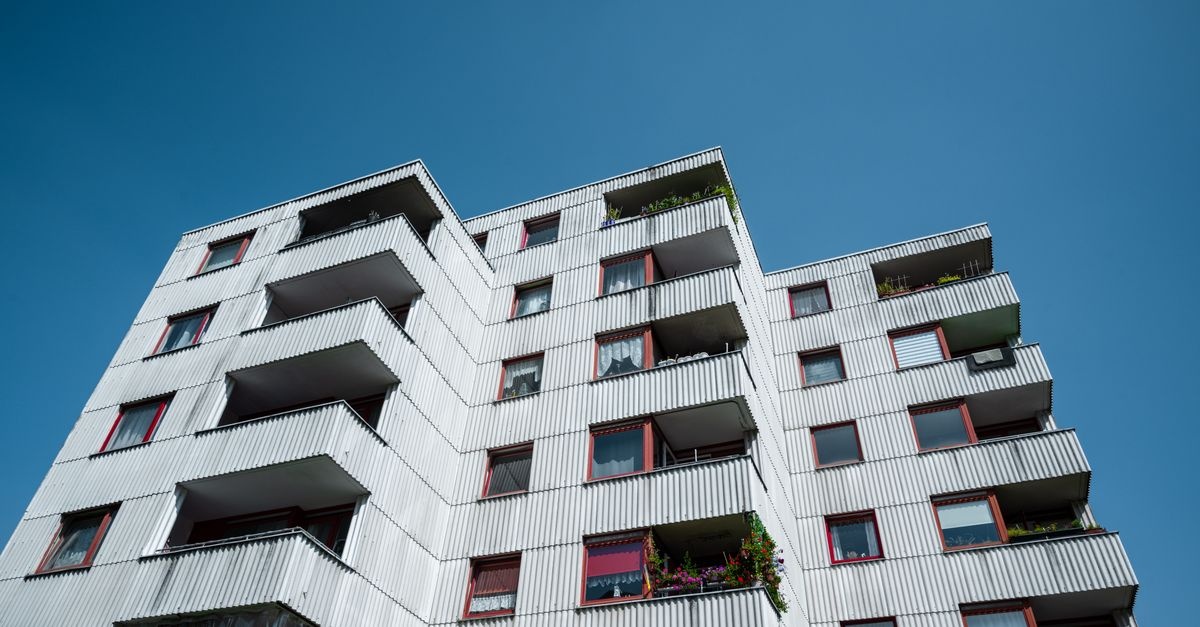 Schimmel in der Mietwohnung gemeldet – was Vermieter jetzt tun sollten (und wie Mieter richtig reagieren)