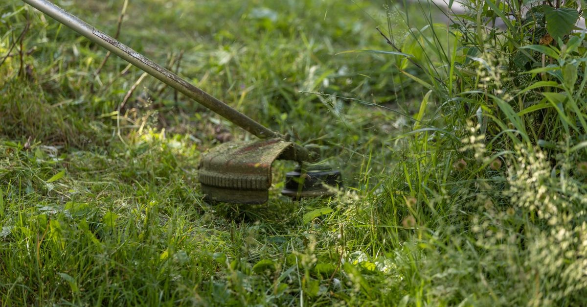 So finden Sie die perfekte Schnitthöhe: Der Schlüssel zu einem dichten, gesunden Rasen