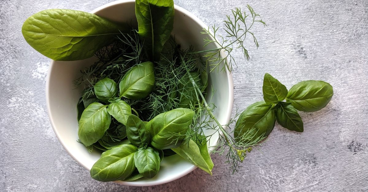 So holst du das Beste aus deinen Kräutern: Erntezeit, Technik & Aroma-Tipps